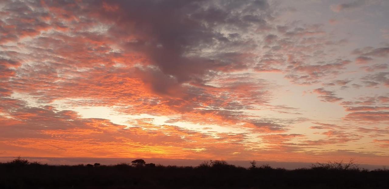 Wild Amboseli Ndovu Cottage. Bagian luar foto