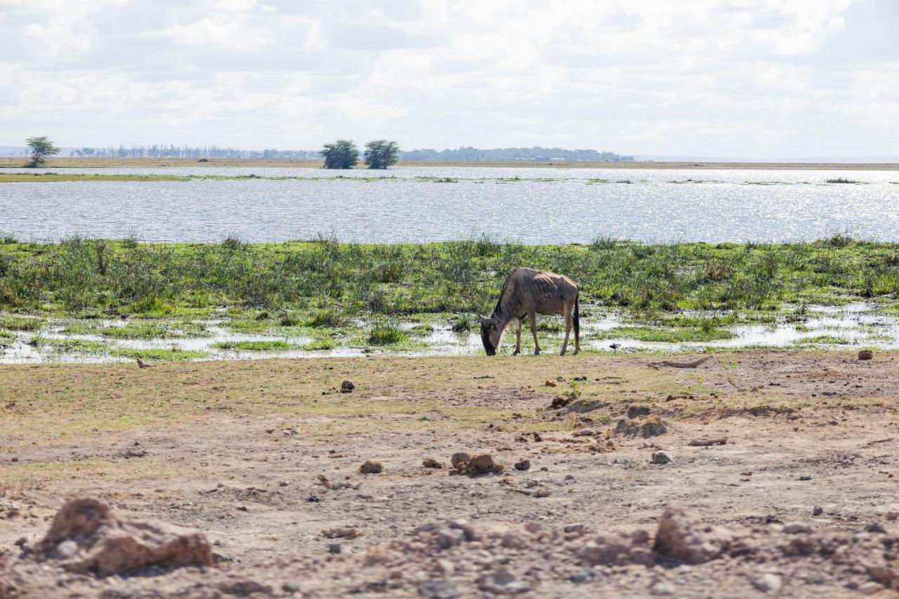 Wild Amboseli Ndovu Cottage. Bagian luar foto