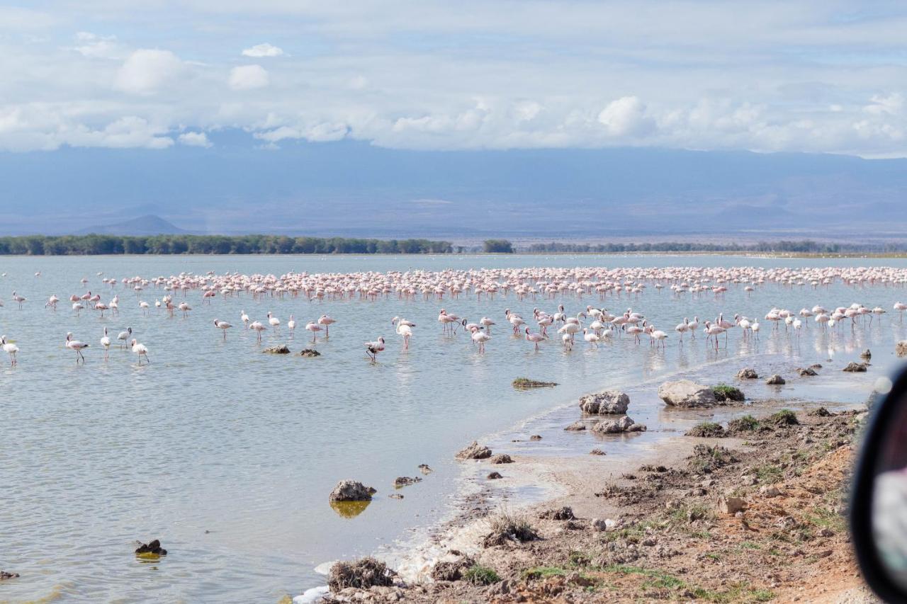 Wild Amboseli Ndovu Cottage. Bagian luar foto