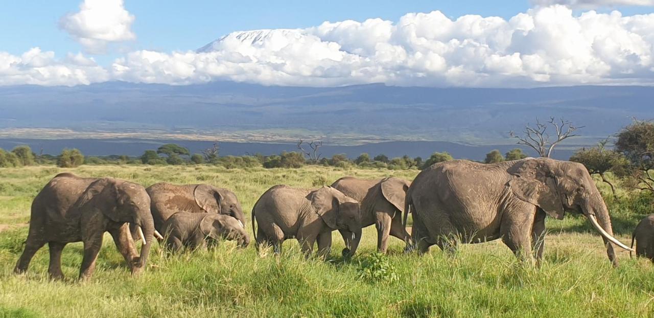 Wild Amboseli Ndovu Cottage. Bagian luar foto