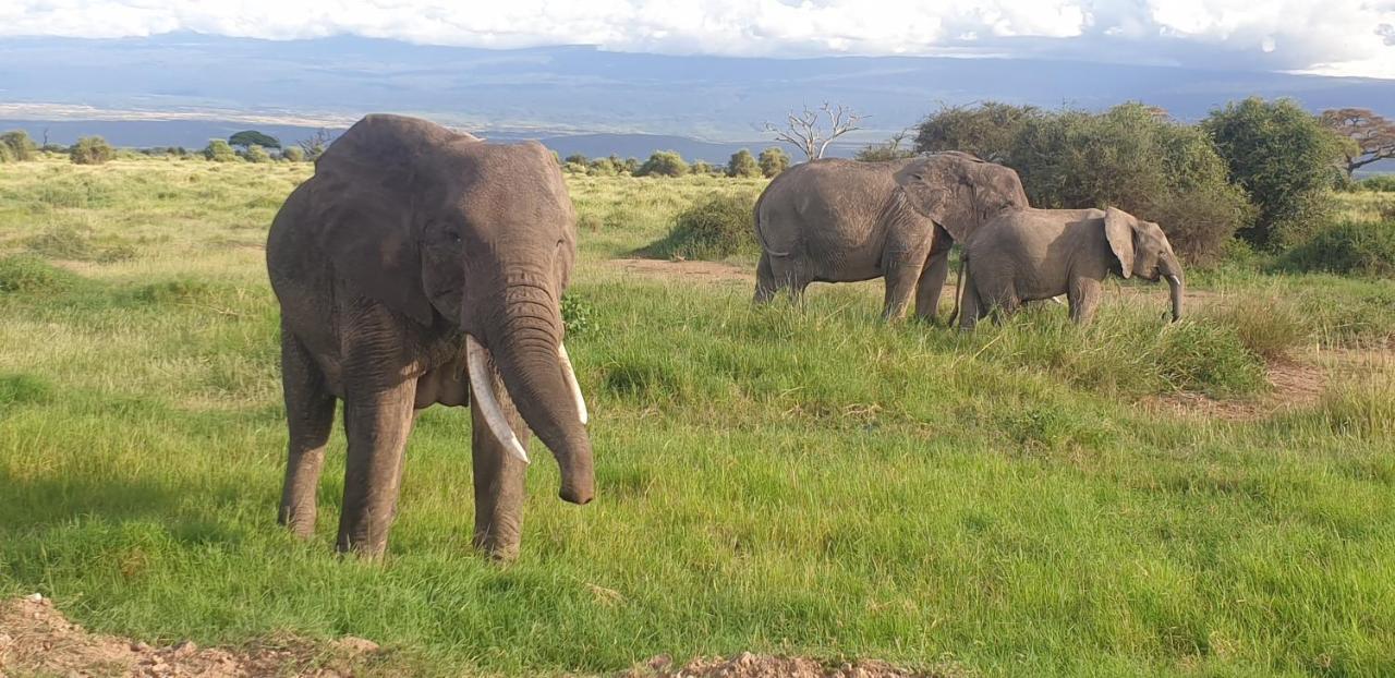 Wild Amboseli Ndovu Cottage. Bagian luar foto