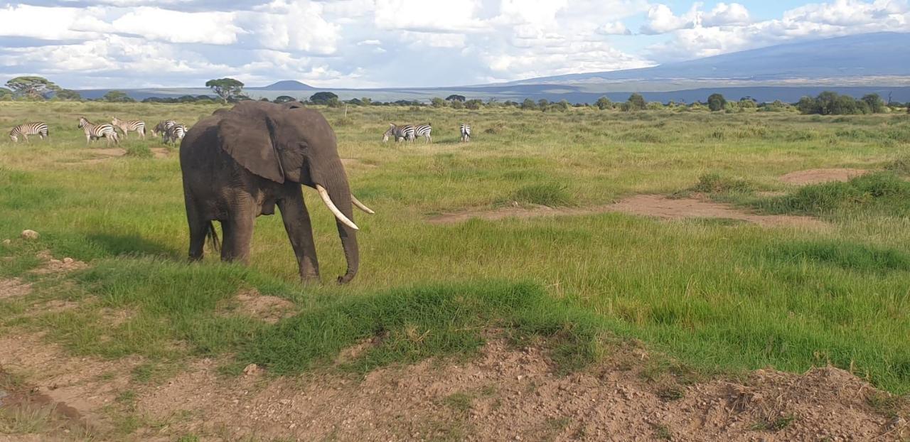Wild Amboseli Ndovu Cottage. Bagian luar foto