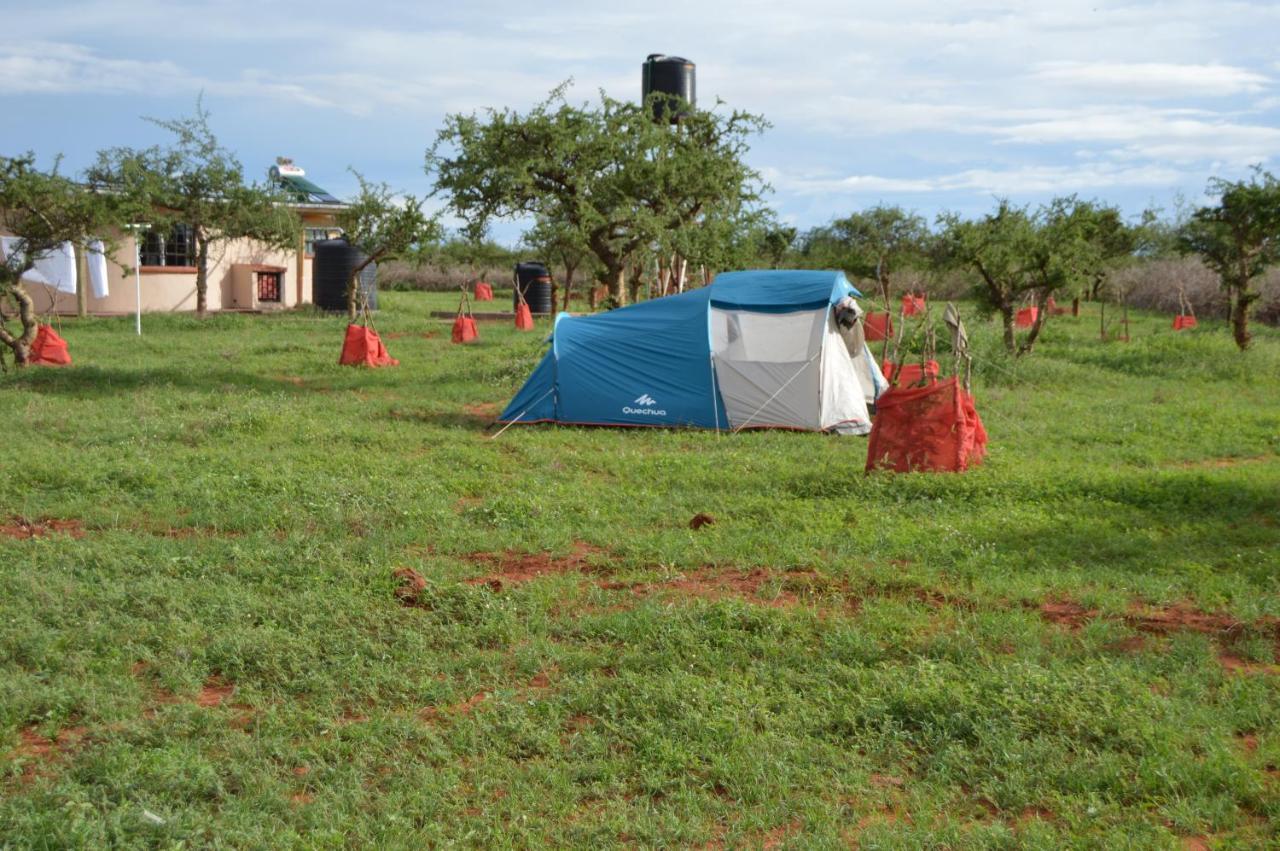 Wild Amboseli Ndovu Cottage. Bagian luar foto